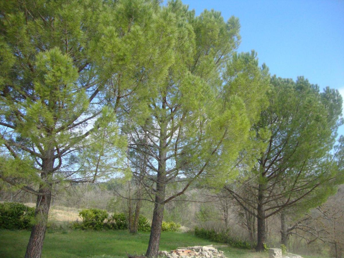 La Croix Du Sud - Ocres En Provence Villa อัพท์ ภายนอก รูปภาพ